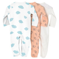 BB-SS-0001_02_Back BB-SS-0001