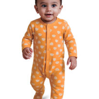 BB-SS-0002-A2 BB-SS-0002