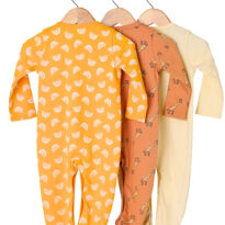 BB-SS-0002_02_Back BB-SS-0002