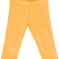 BG-LJ-LEG-0001_06_Other BG-LJ-LEG-0001