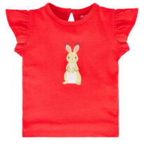 BG-MS-TSL-0003_06_Other BG-MS-TSL-0003