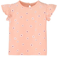BG-MS-TSL-0004_06_Other BG-MS-TSL-0004