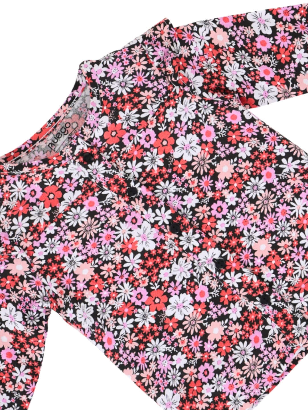 BG-MS-TSL-0006_08_Other BG-MS-TSL-0006