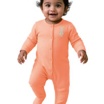 BG-SS-0001-A1_Model BG-SS-0001