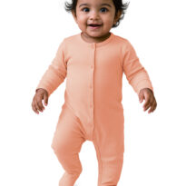 BG-SS-0001-A2_Model BG-SS-0001