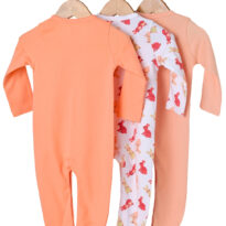 BG-SS-0001_02_Back BG-SS-0001
