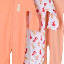 BG-SS-0001_09_Other BG-SS-0001